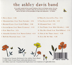ASHLEY DAVIS BAND/When The Stars Went Out (2020) (アシュリー・デイヴィス・バンド/USA)