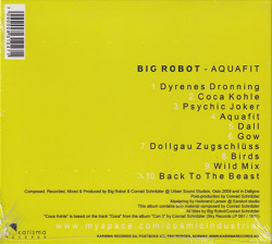 BIG ROBOT Featuring CONRAD SCHNITZLER/Aquafit (2009) (ビッグ・ロボット＆コンラッド・シュニッツラー/Norway,German)