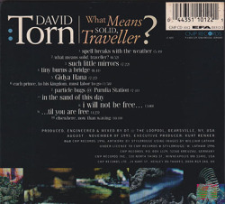 DAVID TORN/What Means Solid, Traveller?(Used CD) (1996/4th) (デヴィッド・トーン/USA)
