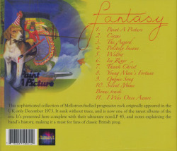 FANTASY/Paint A Picture (1973/only) (ファンタジー/UK)