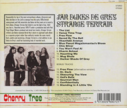 JAN DUKES DE GREY/Strange Terrain (1976-77/Unreleased) (ヤン・デュークス・デ・グレイ/UK)