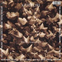 KATE BUSH/Dreaming(LP) (1982/4th) (ケイト・ブッシュ/UK)