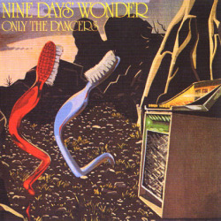 NINE DAYS WONDER/Same + Only The Dancers (1971+74/1+3th) (ナイン・デイズ・ワンダー/German,Ireland)