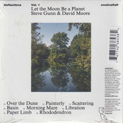 STEVE GUNN & DAVID MOORE/Let The Moon Be A Planet (2023) (スティーヴ・ガン＆デヴィッド・ムーア/USA)